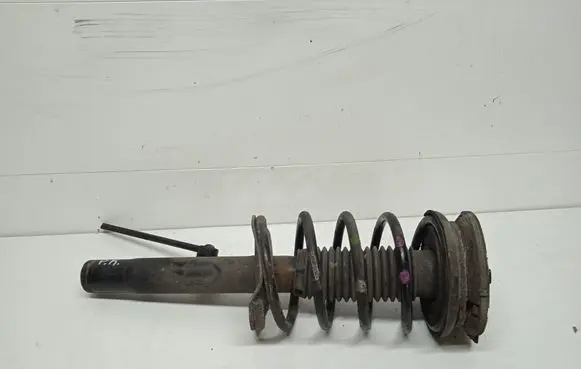Peugeot 607 Front shock absorber with coil spring