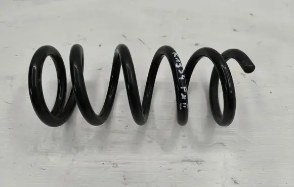 Rear coil spring