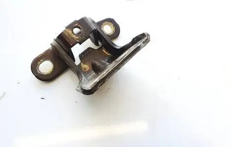 Rear door lower hinge