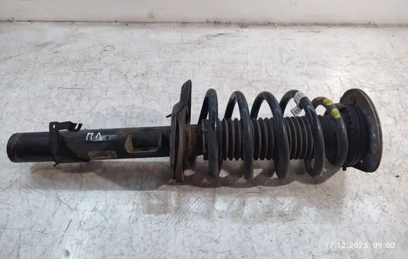 Land Rover Discovery Sport Front shock absorber with coil spring