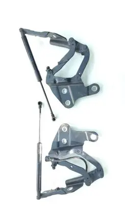 BMW X1 E84 Engine bonnet/hood hinges 2990359 2990360
