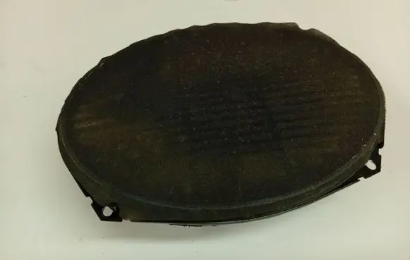 Chrysler Grand Voyager IV Front door speaker 05081669AA