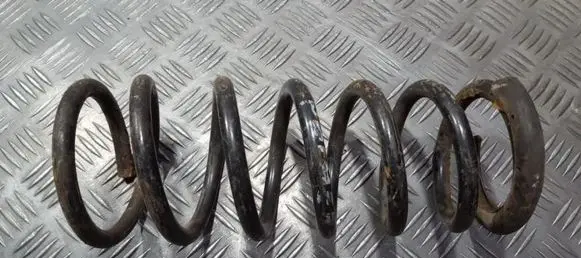 Rear coil spring