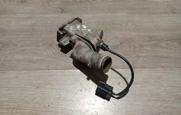 Thermostat/thermostat housing