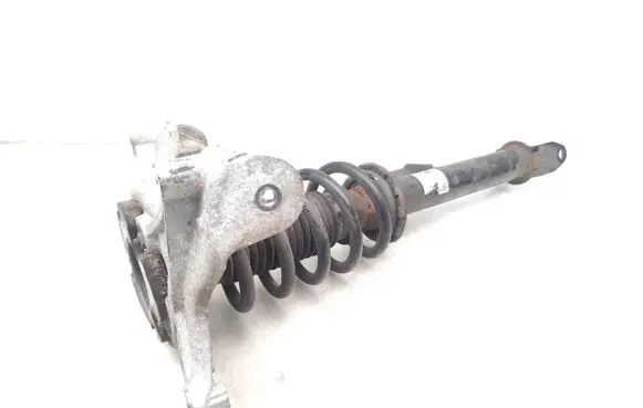 Tesla Model 3 Front shock absorber with coil spring 1892A08160