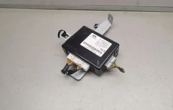 KIA Optima Other control units/modules 954002T815