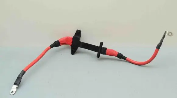 Positive wiring loom