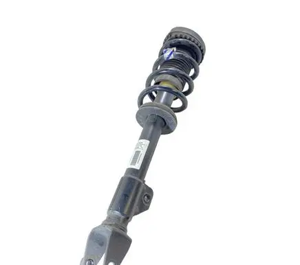 Dodge Charger Front shock absorber with coil spring P68544309AA 68544309AA 04895412AC