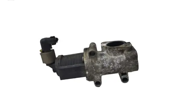 Fiat Punto (188) EGR valve 50024005 09T079