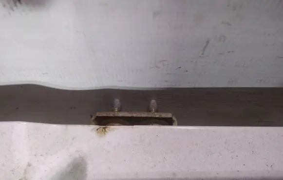 Tailgate/trunk/boot hinge
