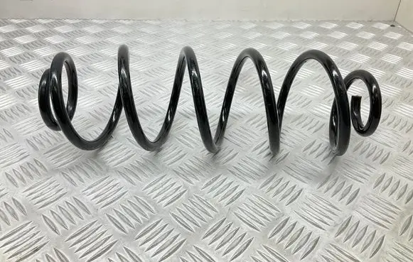 Rear coil spring