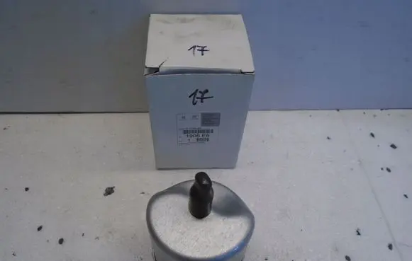 Citroen Berlingo Fuel filter 9672320980