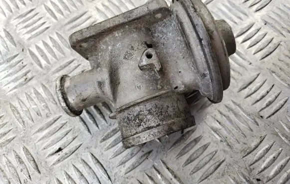 BMW 5 E39 EGR valve