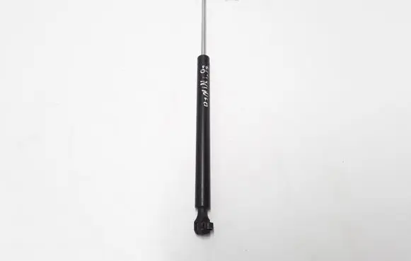 Tailgate strut