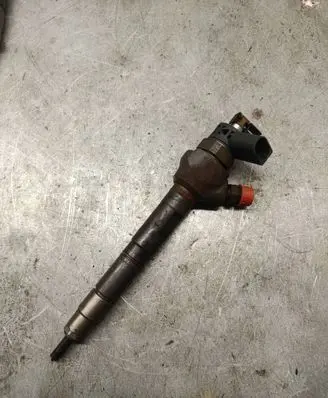 Volkswagen PASSAT B7 Fuel injector 0445110369