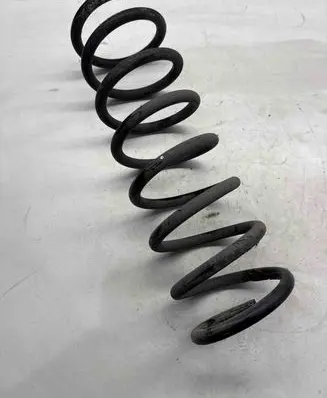 Rear coil spring