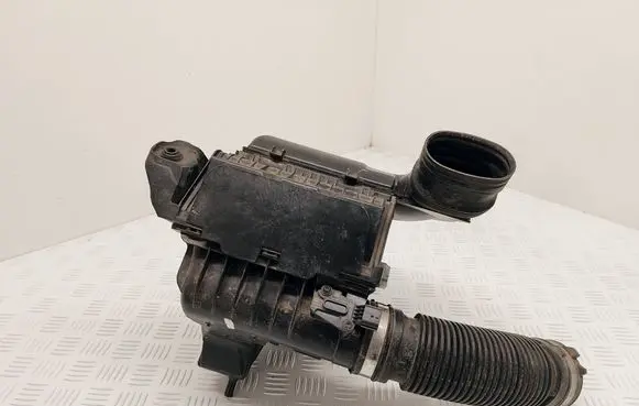 Renault Scenic IV - Grand scenic IV Air filter box 165007121R 1113101S03