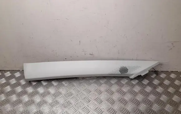 (A) pillar trim