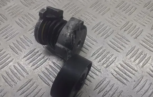 Skoda Fabia Mk1 (6Y) Alternator belt tensioner pulley 03E903133