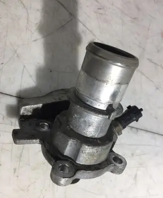 Thermostat/thermostat housing