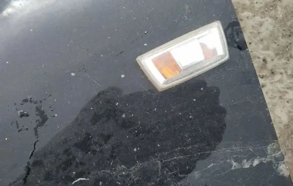 Front fender indicator light