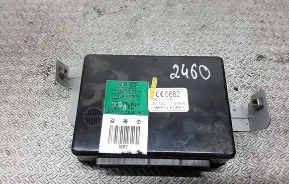 Hyundai Tucson JM Other control units/modules 954002E213