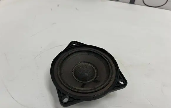 Panel speaker