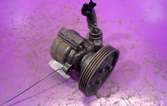 Renault Thalia I Power steering pump