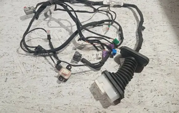 Front door wiring loom