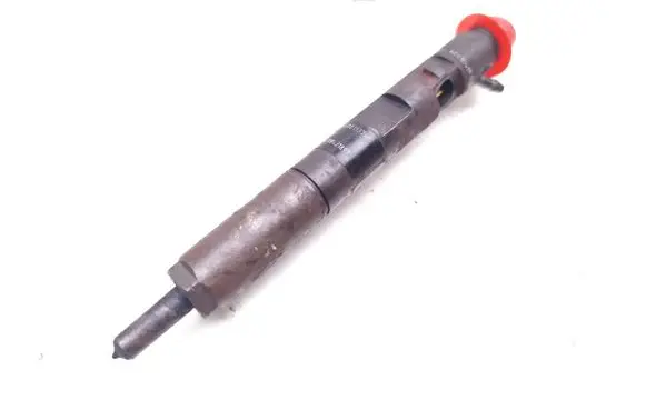 Renault Kangoo I Fuel injector 166001137R 8200421897