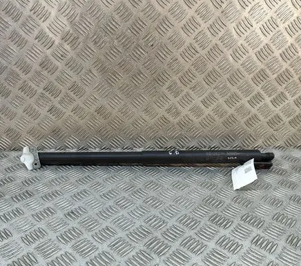 KIA Niro Tailgate/trunk strut/damper 81840AT101