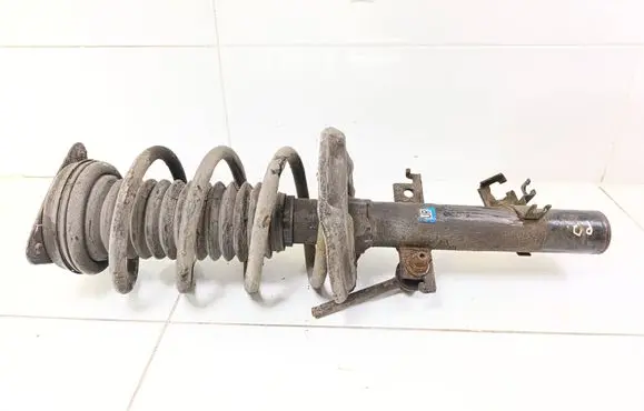 Nissan X-Trail T32 Front shock absorber with coil spring 543024CB1E