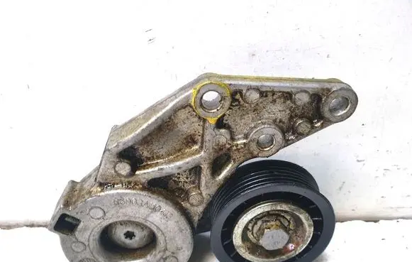 Porsche Cayenne (9PA) Timing belt/chain tensioner 022145299