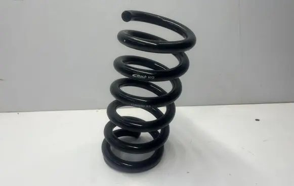 Ford Mustang VI Rear coil spring 113502901RA