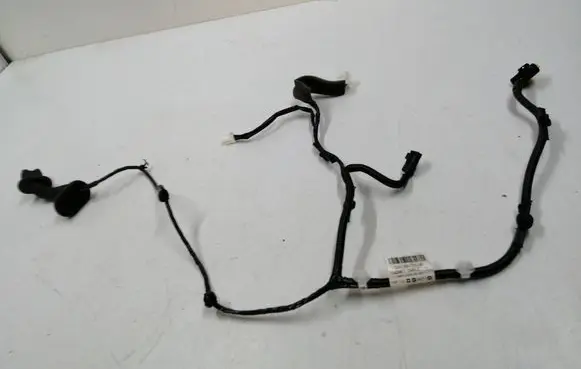 Rear door wiring loom