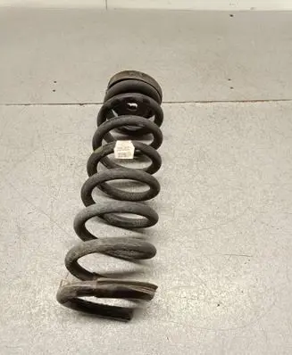 Rear coil spring