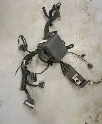 Ford Ecosport Other control units/modules JN15-12A581-GCD