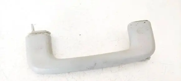 Front interior roof grab handle