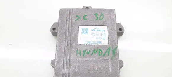 Hyundai XG Other control units/modules 10R-036751