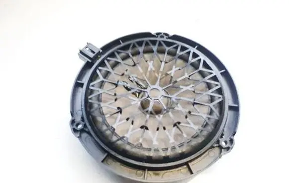 Front door speaker