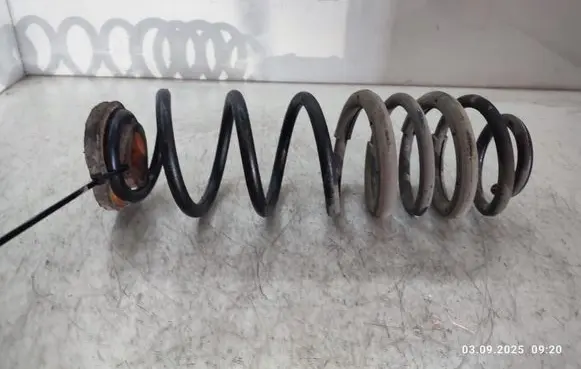 Ford Ecosport Rear coil spring