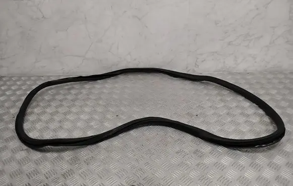 Rear door rubber seal (on body)