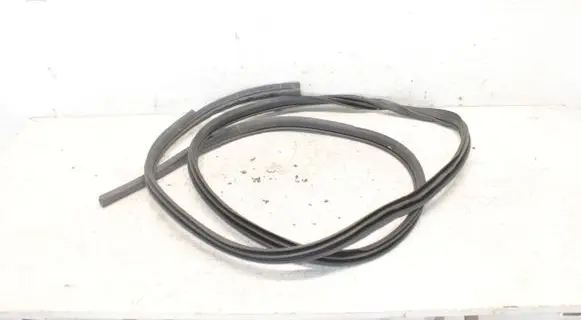 Nissan Qashqai Front door rubber seal 
