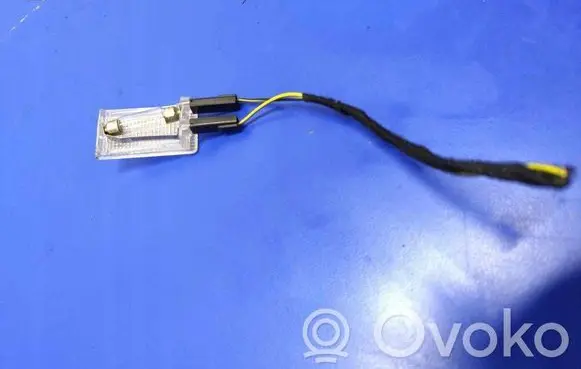 Saab 9-3 Ver2 Front door interior light