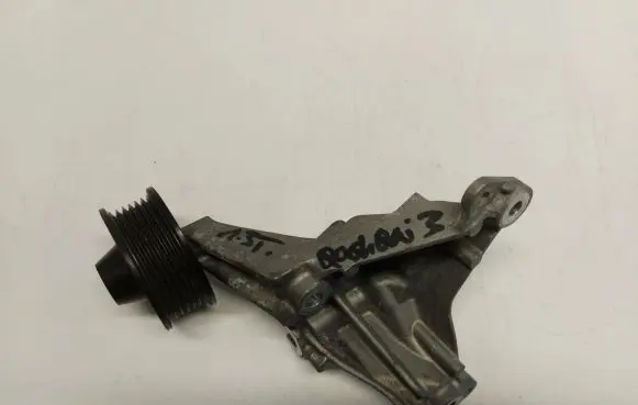 Nissan Qashqai J12 Timing belt tensioner 117067948