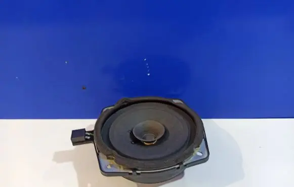 Hyundai Terracan Rear door speaker 96310H1010