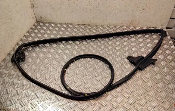 Lexus RX 450H Rubber seal rear door 