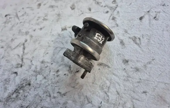 BMW 3 E46 EGR valve 72229512