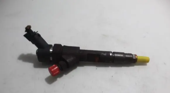 Renault Scenic II - Grand scenic II Fuel injector 0445110110B