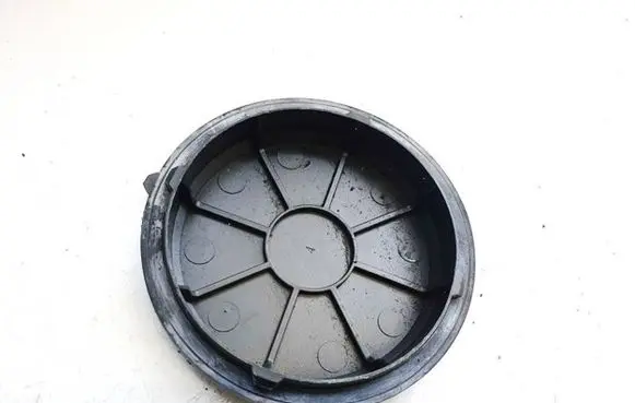 Headlight/headlamp dust cover